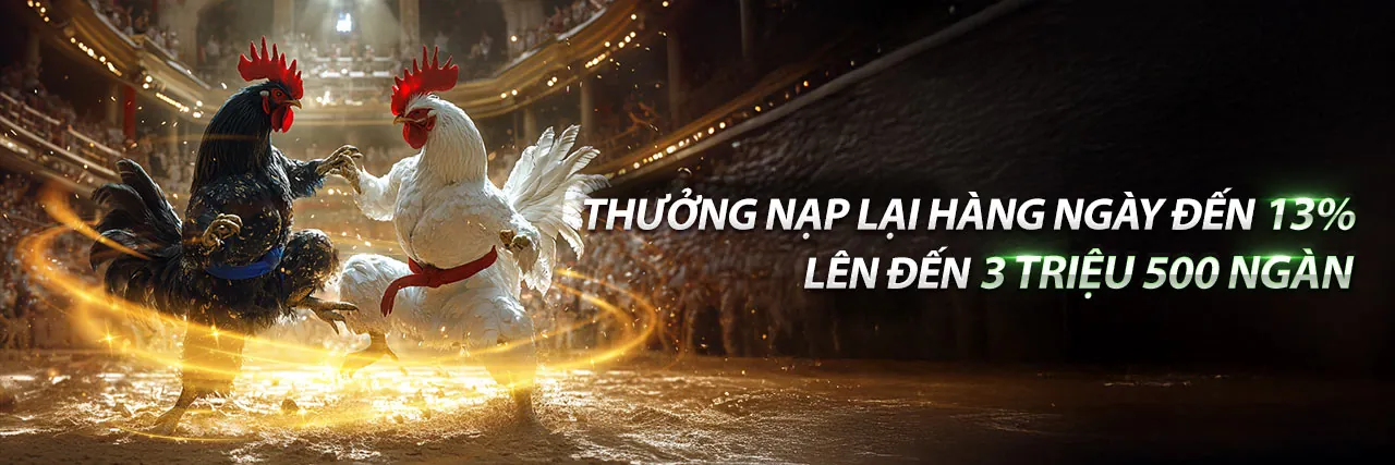 Đá gà trực tuyến SM66 APK 2026