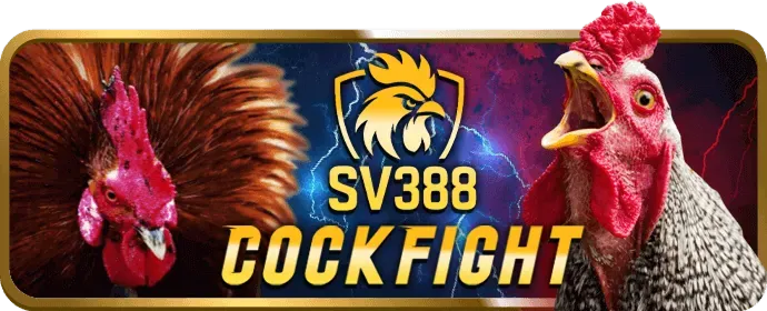 Hoàn trả hàng ngày SM66 APK
